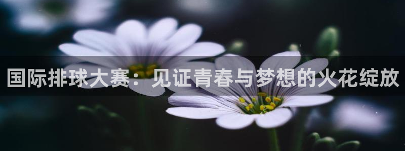 壹号平台注册链接在哪里：国际排球大赛：见证青春与梦想的火花绽