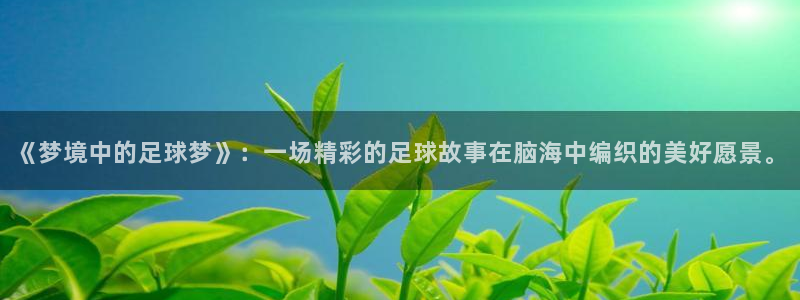 壹号平台可以挨绑提现姓名吗：《梦境中的足球梦》：一场精彩的足