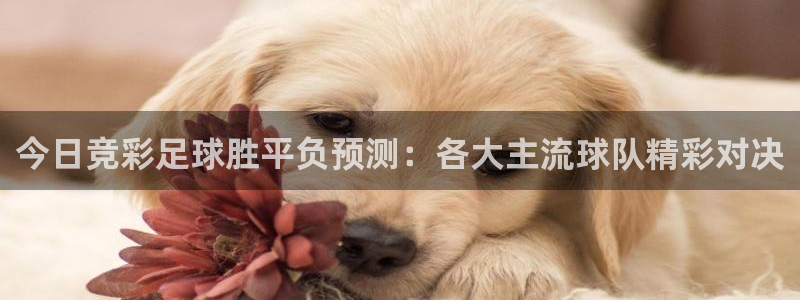 壹号娱乐下款银行卡安全吗