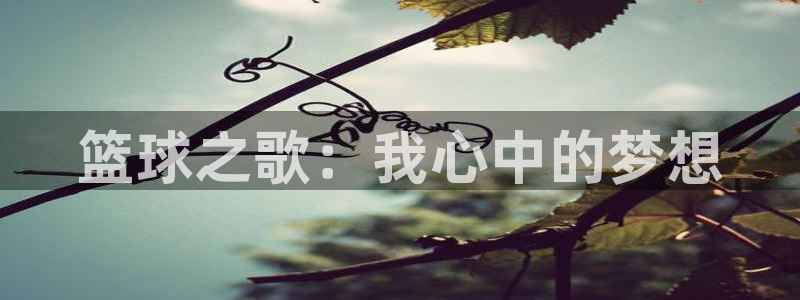 壹号娱乐提款10天了还没到账怎么办：篮球之歌：我心中的梦想