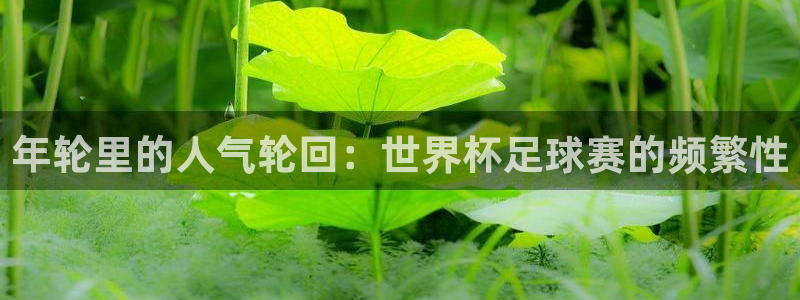 壹号娱乐是正规平台吗知乎文章