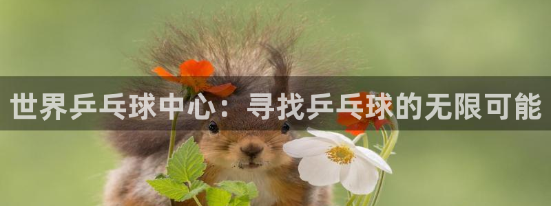 巅峰国际app官方入口：世界乒乓球中心：寻找乒乓球的无限可能
