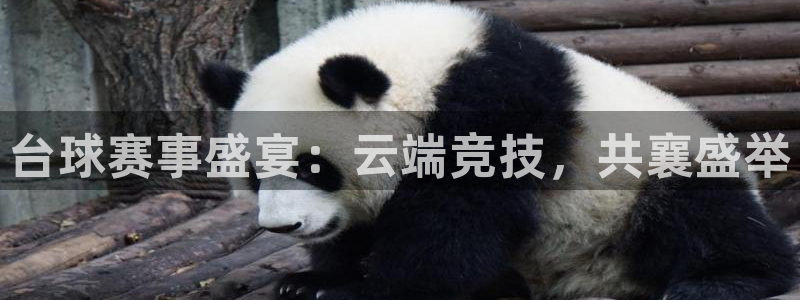 壹号娱乐退款步骤