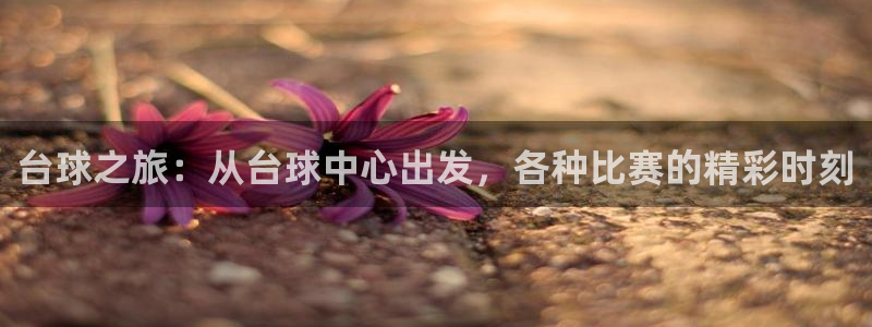 一号平台登录网页版：台球之旅：从台球中心出发，各种比赛的精彩