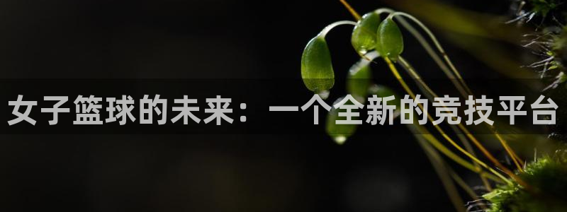 一号国际会所：女子篮球的未来：一个全新的竞技平台