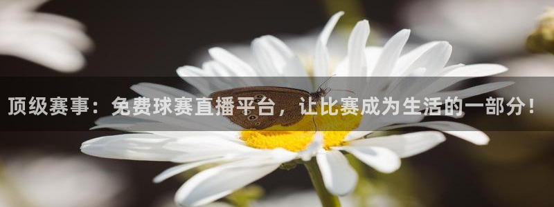 壹号平台app官方下载最新版本：顶级赛事：免费球赛直播平台，