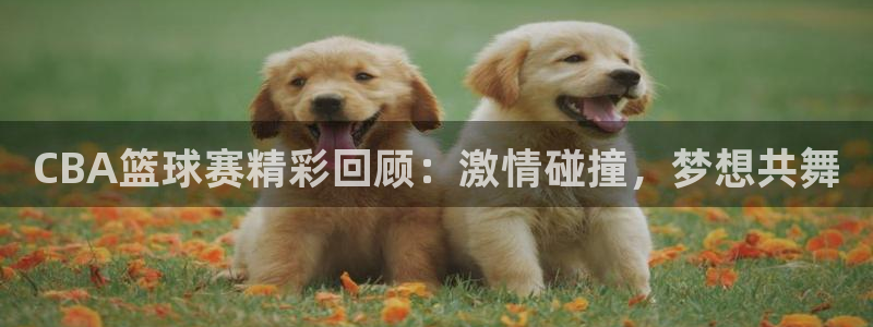 壹号平台已受理13天了还没退款