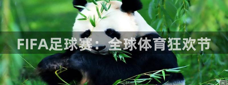 壹号ktv 电话号码：FIFA足球赛：全球体育狂欢节