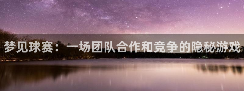 壹号游泳馆价格：梦见球赛：一场团队合作和竞争的隐秘游戏