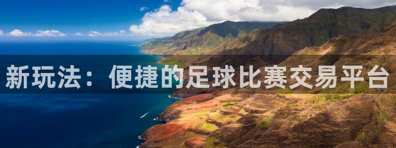 壹号娱乐：新玩法：便捷的足球比赛交易平台